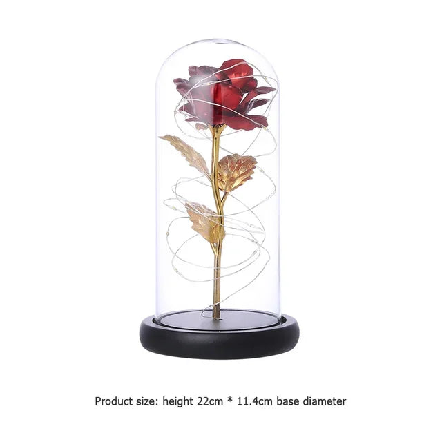 Eternal Rose Beauty Led Lights W/Glass Cover