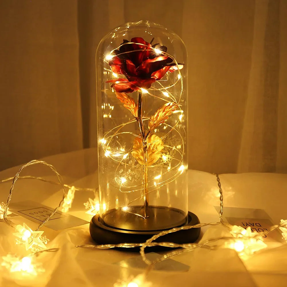 Eternal Rose Beauty Led Lights W/Glass Cover