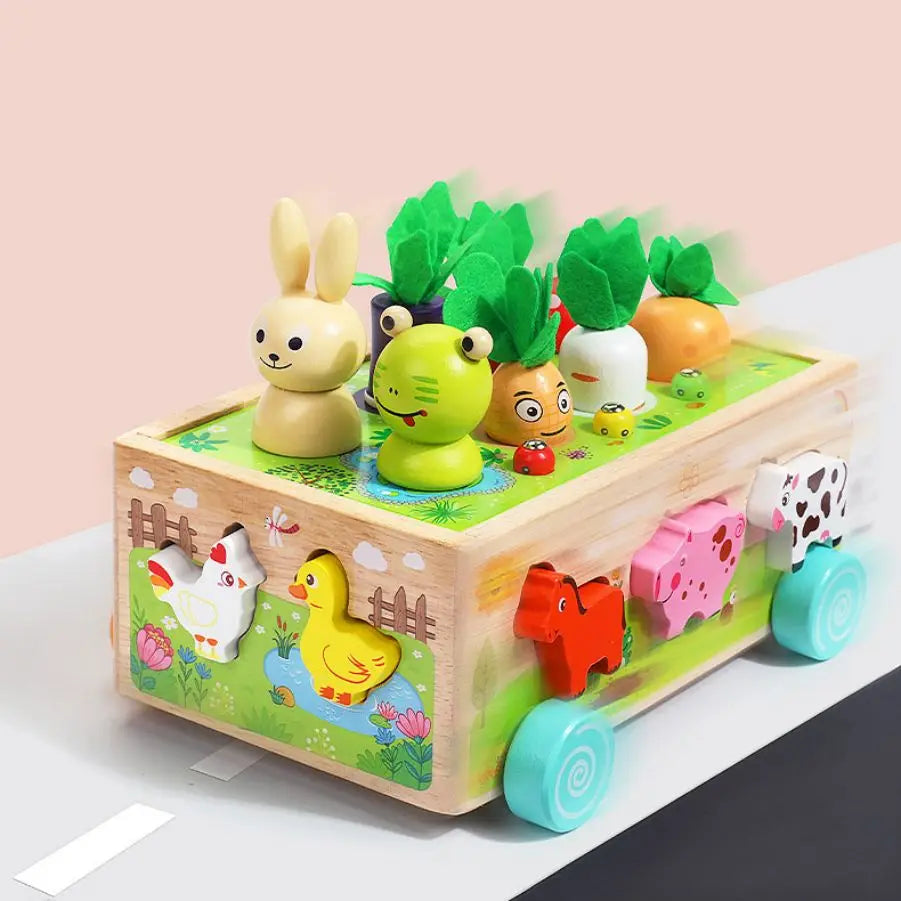 Wooden Children's Animal Pieces/W Interactive Box