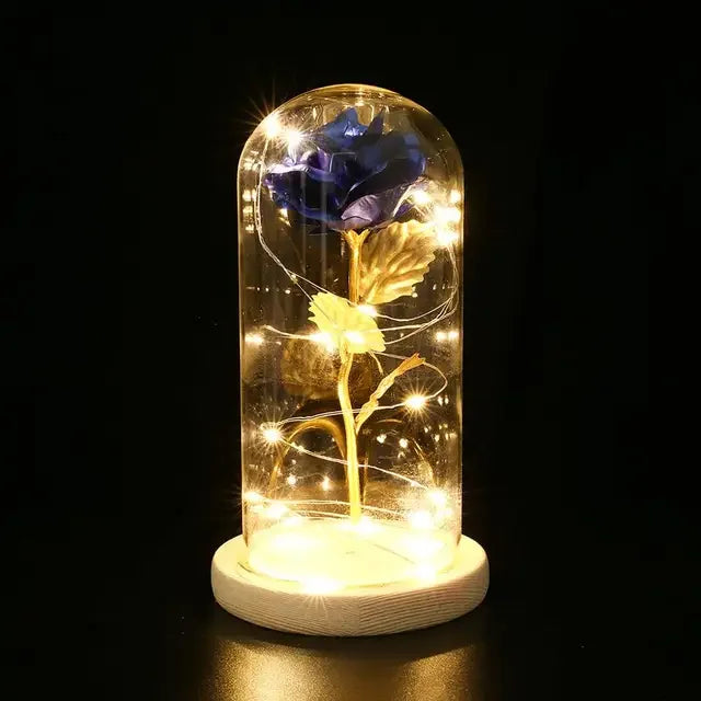 Eternal Rose Beauty Led Lights W/Glass Cover