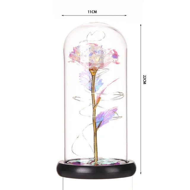 Eternal Rose Beauty Led Lights W/Glass Cover