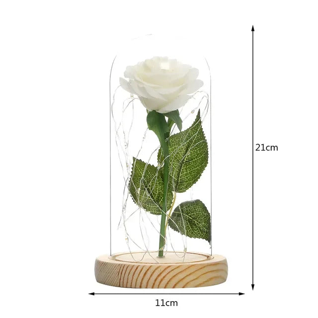 Eternal Rose Beauty Led Lights W/Glass Cover