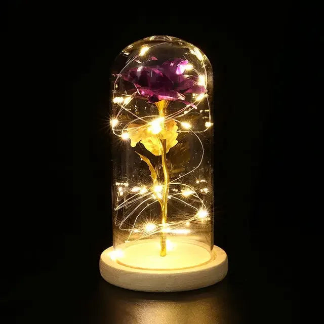 Eternal Rose Beauty Led Lights W/Glass Cover