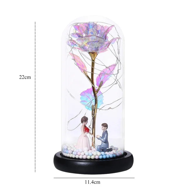 Eternal Rose Beauty Led Lights W/Glass Cover