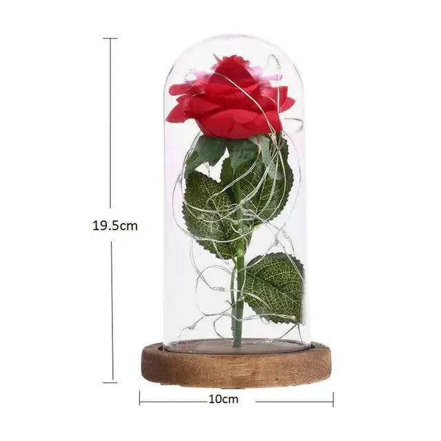 Eternal Rose Beauty Led Lights W/Glass Cover