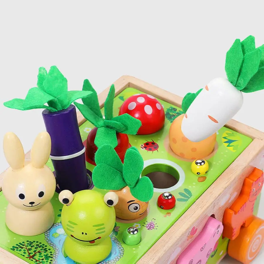 Wooden Children's Animal Pieces/W Interactive Box