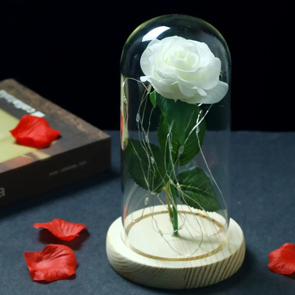 Eternal Rose Beauty Led Lights W/Glass Cover