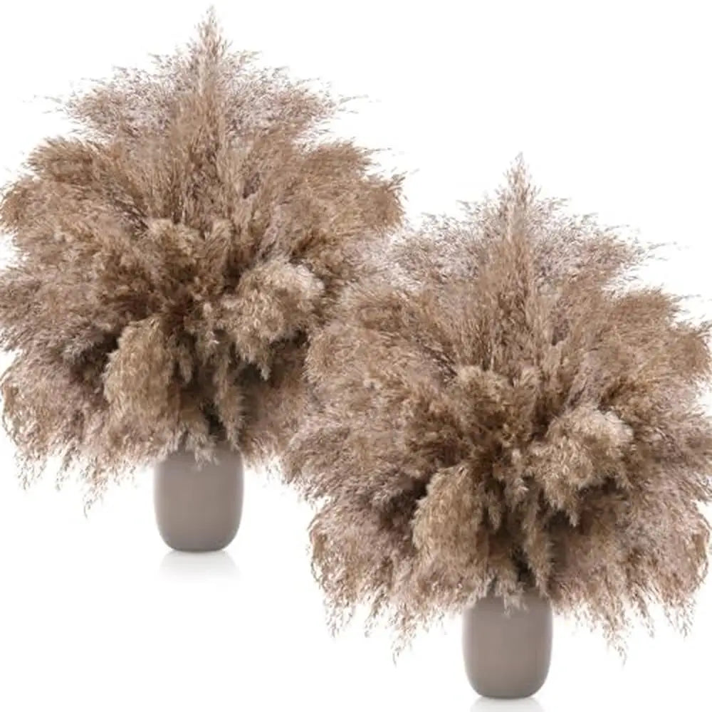 Dried Natural Fluffy Pampas Grass