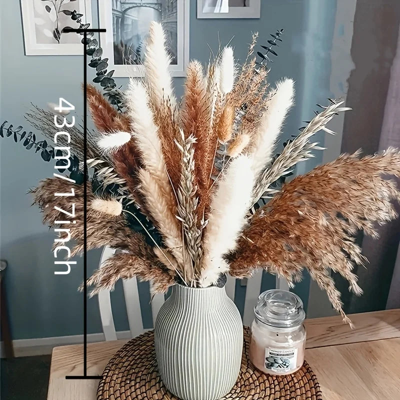 PAMPAS Grass Dried Reed Bouquet Bohemian Luxury