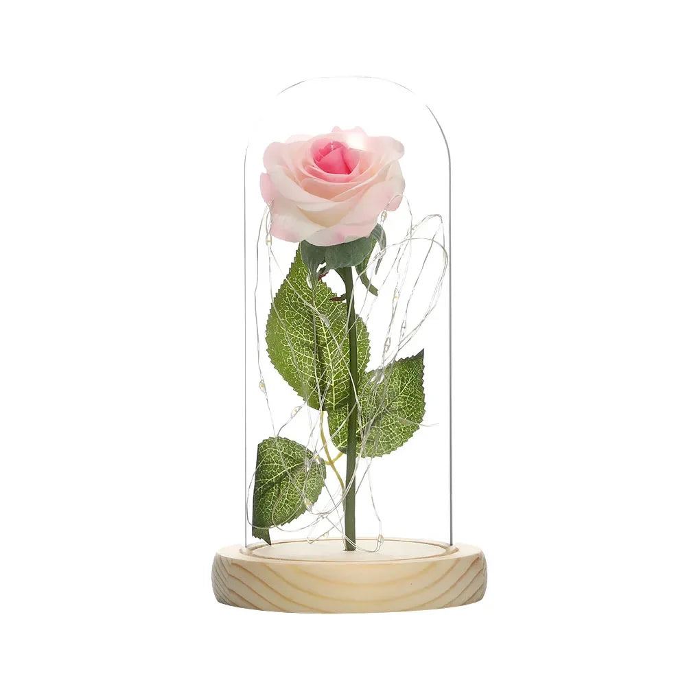 Eternal Rose Beauty Led Lights W/Glass Cover