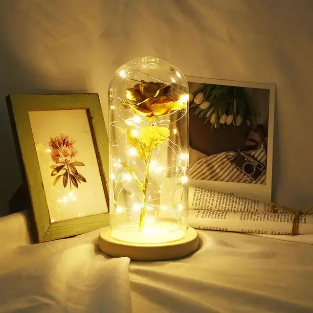 Eternal Rose Beauty Led Lights W/Glass Cover