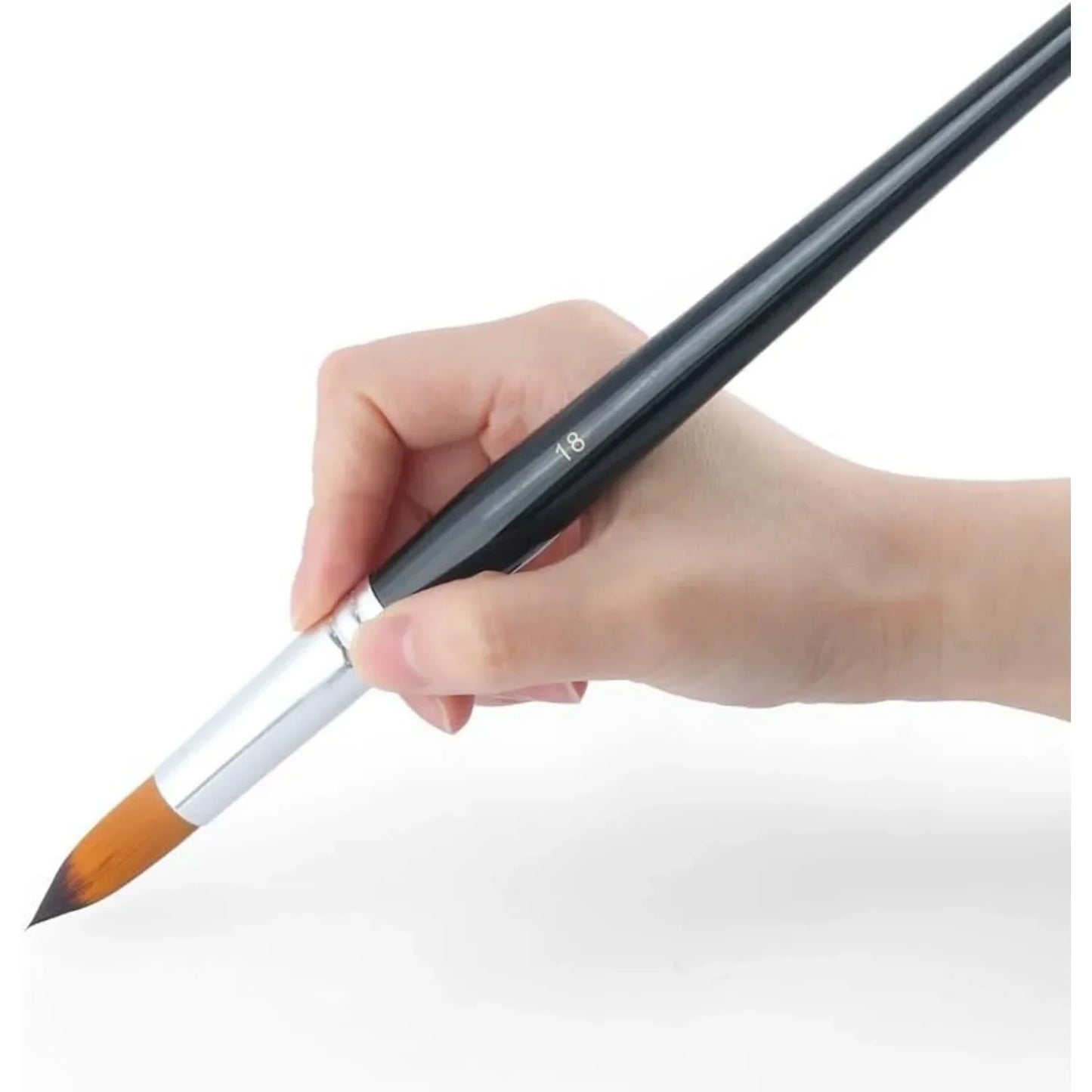 Round Paint Brush Set for Watercolor, Acrylic, Ink and More
