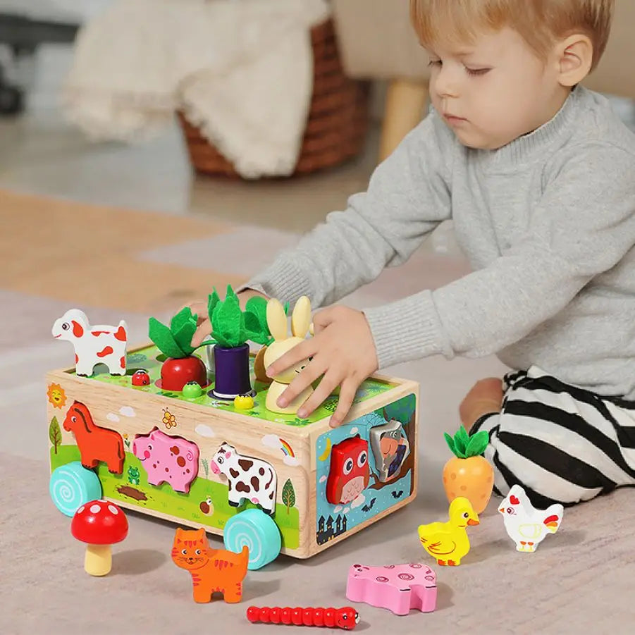 Wooden Children's Animal Pieces/W Interactive Box