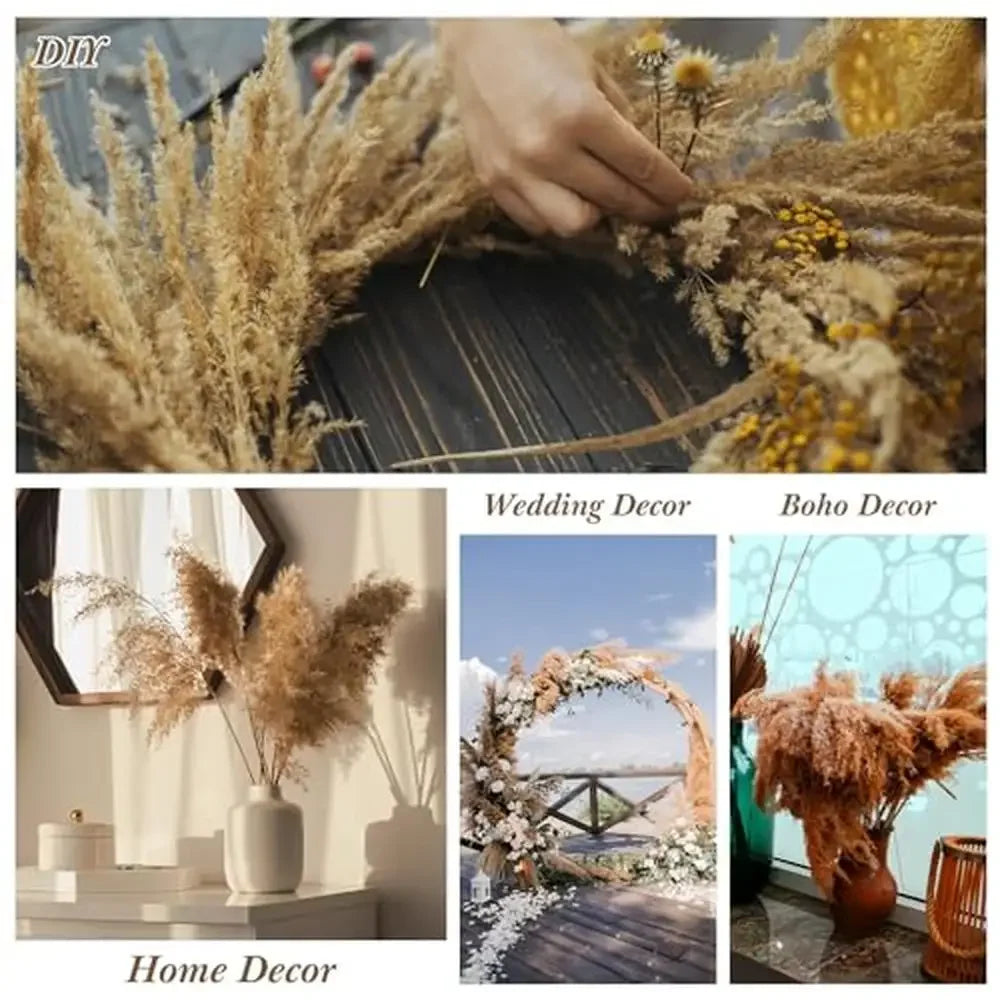 Dried Natural Fluffy Pampas Grass