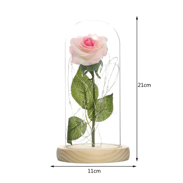 Eternal Rose Beauty Led Lights W/Glass Cover