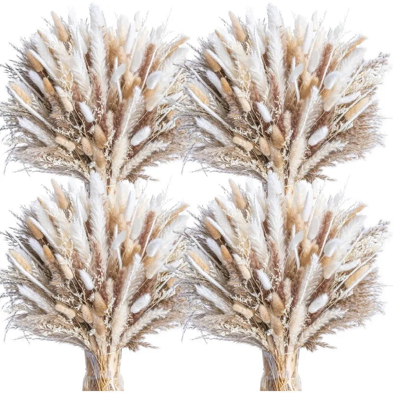 440PCS Natural Dried Pampas Grass
