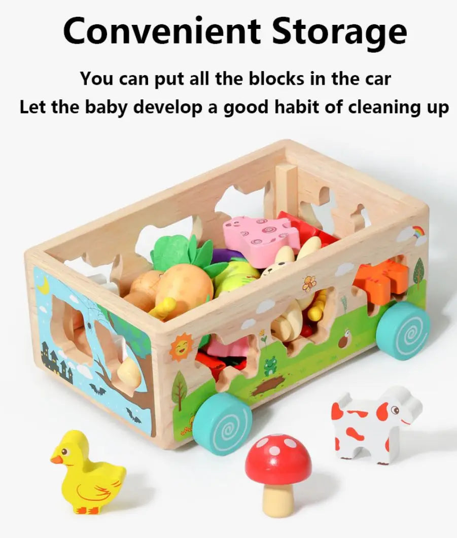 Wooden Children's Animal Pieces/W Interactive Box