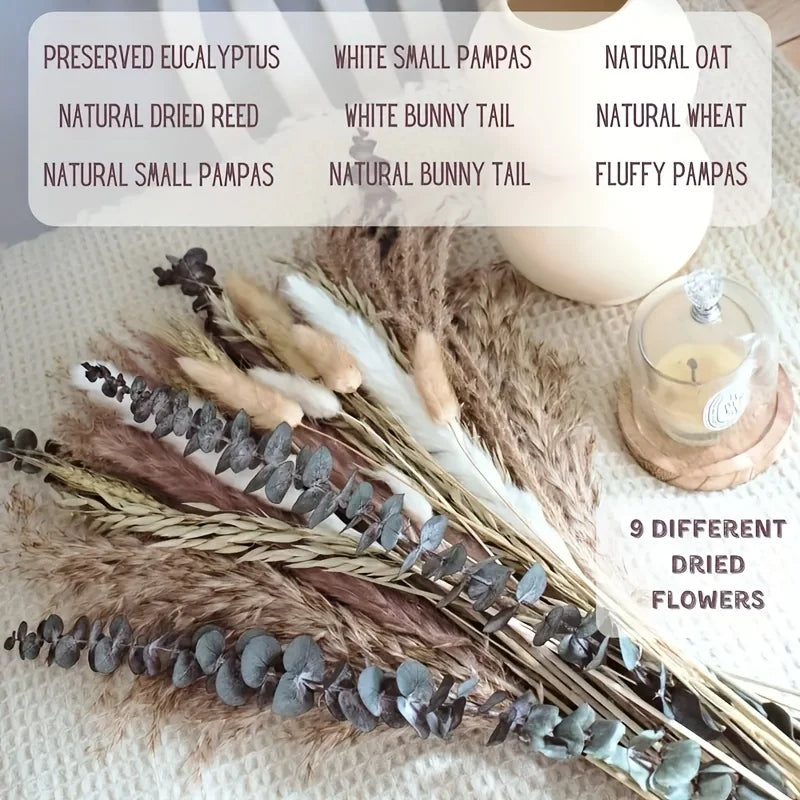 PAMPAS Grass Dried Reed Bouquet Bohemian Luxury