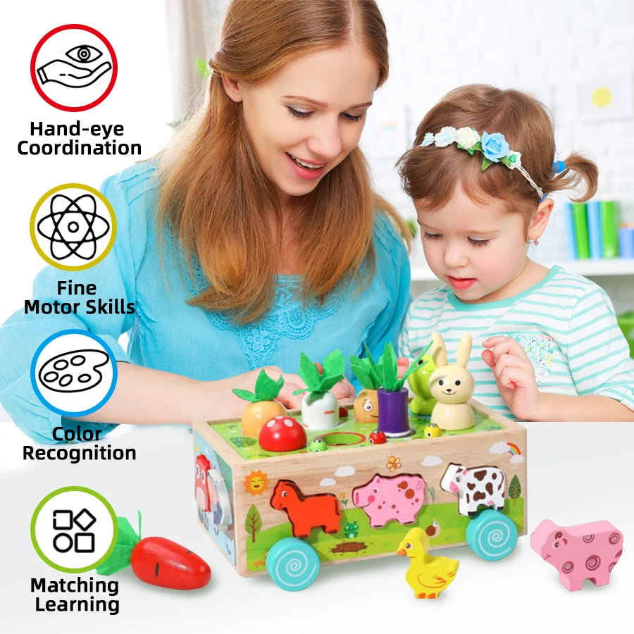 Wooden Children's Animal Pieces/W Interactive Box