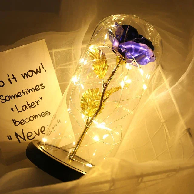 Eternal Rose Beauty Led Lights W/Glass Cover