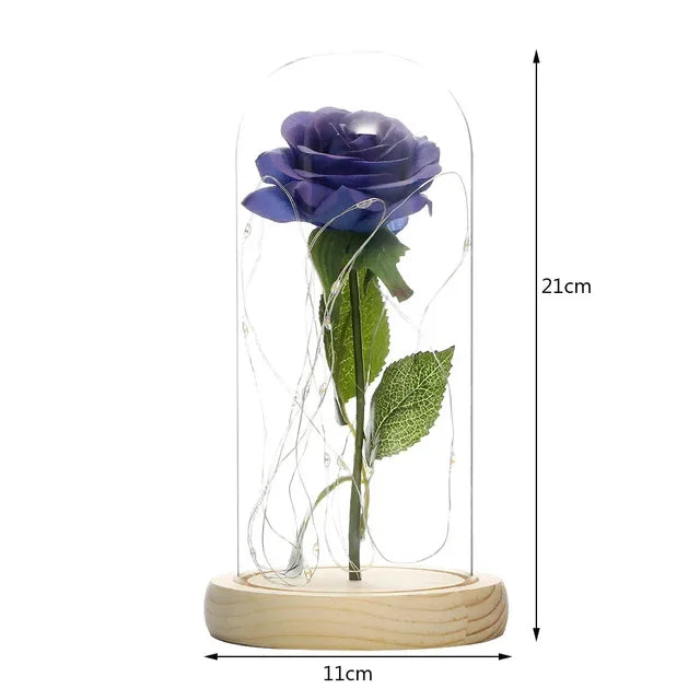 Eternal Rose Beauty Led Lights W/Glass Cover