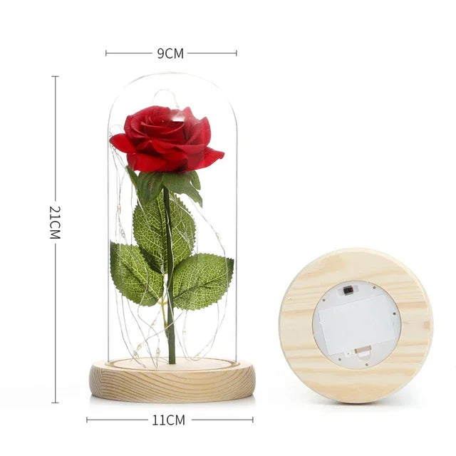 Eternal Rose Beauty Led Lights W/Glass Cover