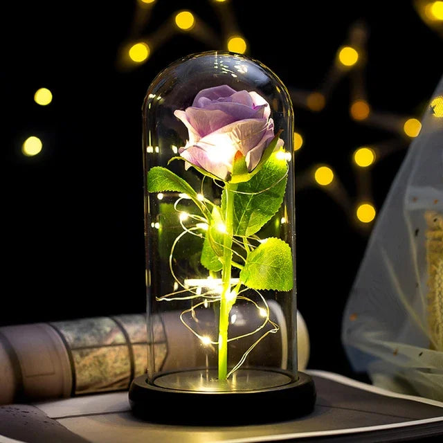 Eternal Rose Beauty Led Lights W/Glass Cover