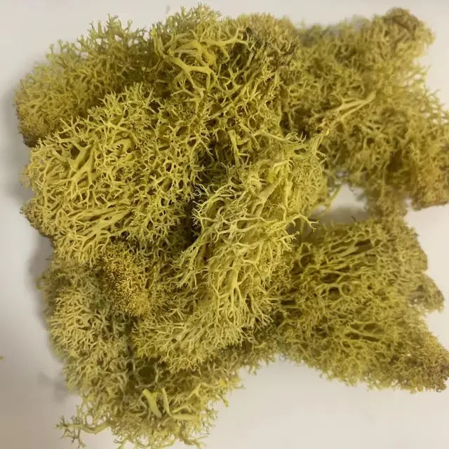 High Quality Artificial Green Fake Moss Grass