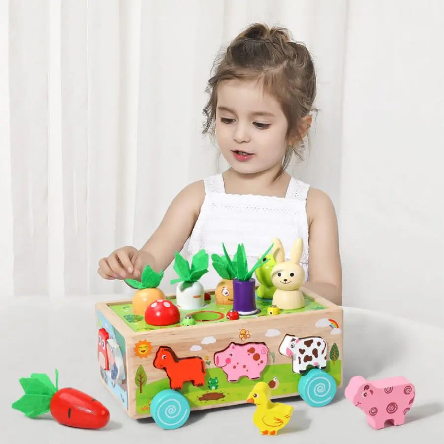 Wooden Children's Animal Pieces/W Interactive Box
