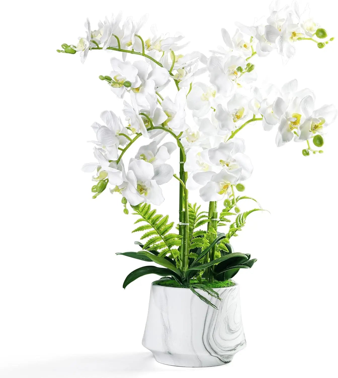 Artificial Orchid Plants and Flowers with Vase