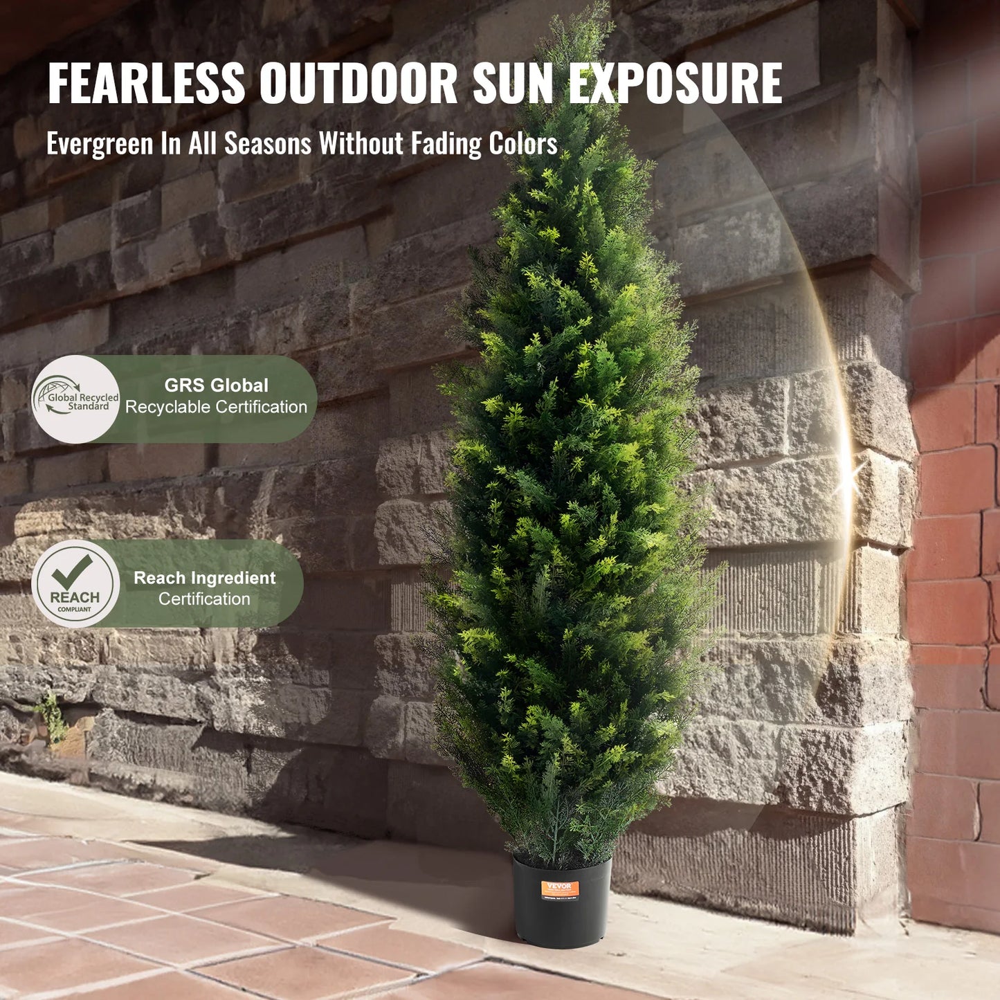 Cedar Topiary Tree, Evergreen Pine