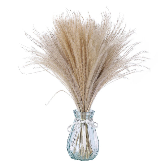 Natural Dried Reed Grass, 80 Stems