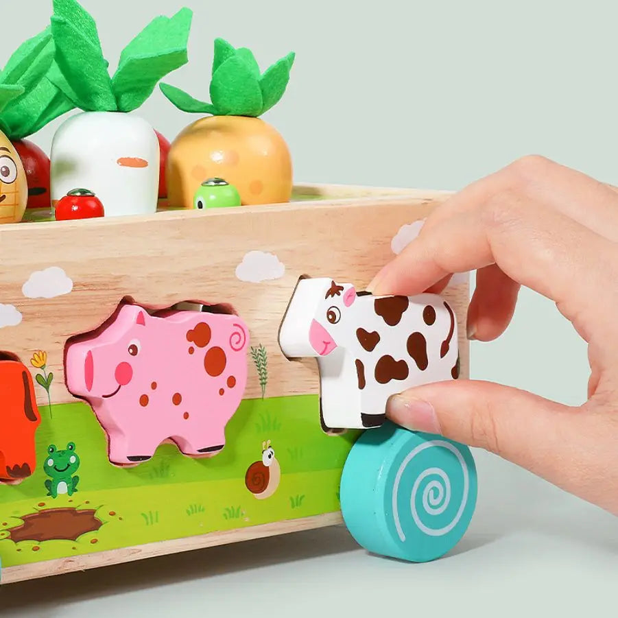 Wooden Children's Animal Pieces/W Interactive Box