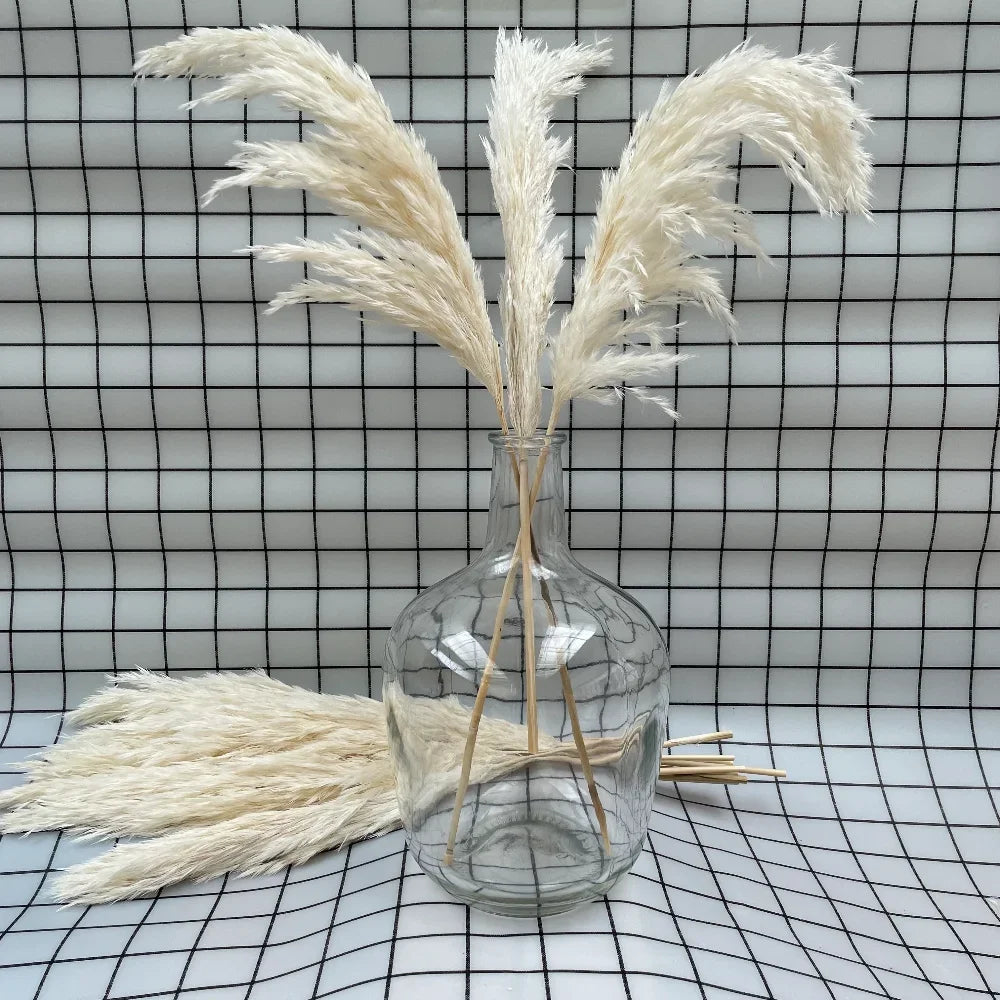 20 Pcs White Dried Pampas Grass, Raw, White, Pink, Red