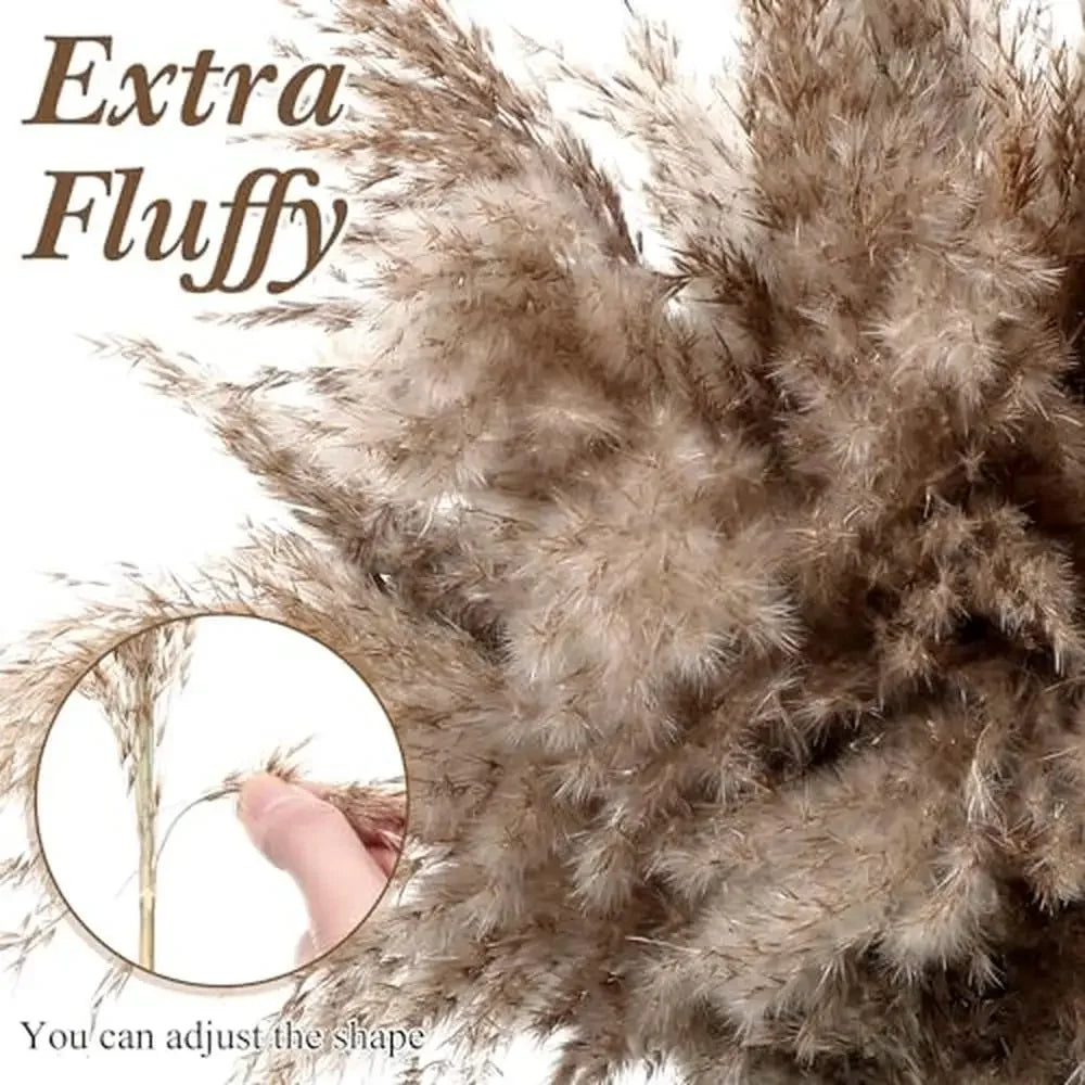 Dried Natural Fluffy Pampas Grass