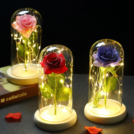 Eternal Rose Beauty Led Lights W/Glass Cover