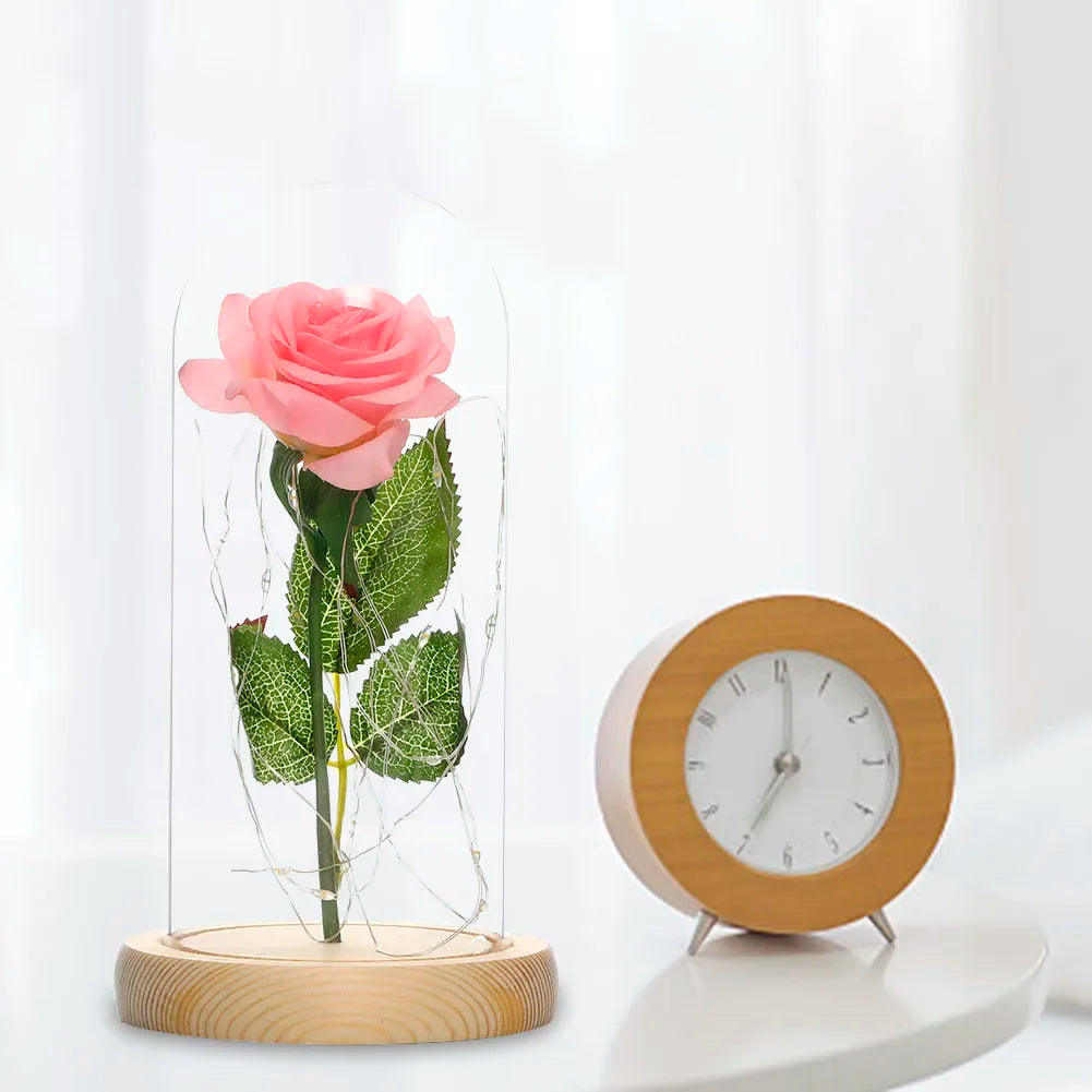 Eternal Rose Beauty Led Lights W/Glass Cover