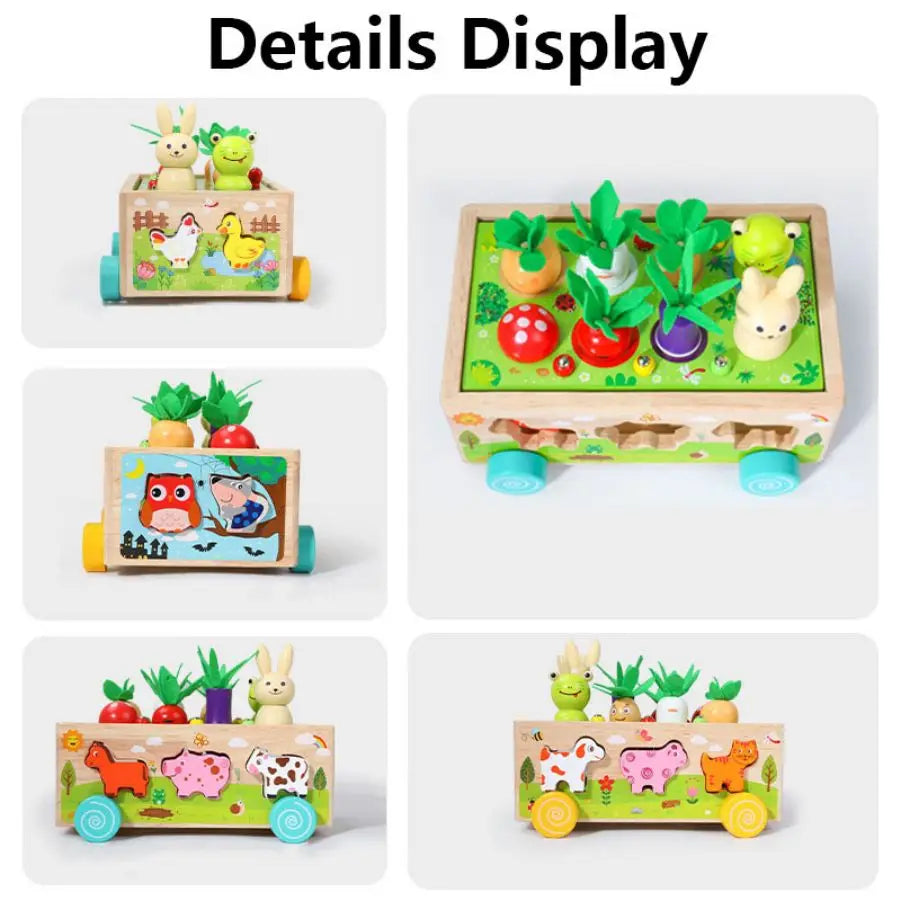 Wooden Children's Animal Pieces/W Interactive Box