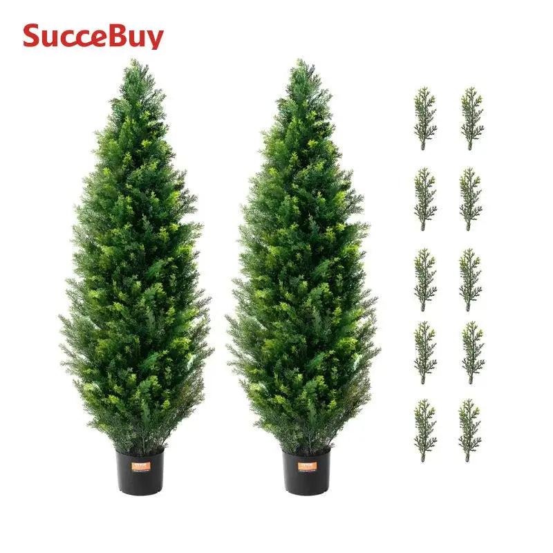 Cedar Topiary Tree, Evergreen Pine