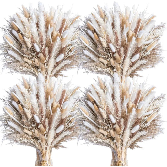 440PCS Natural Dried Pampas Grass