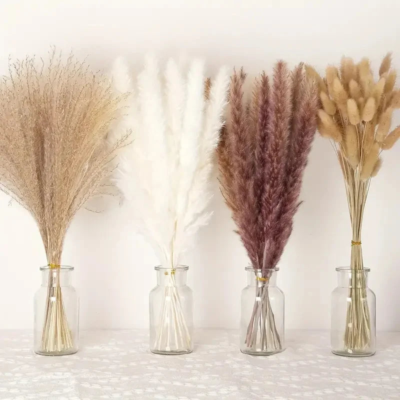 210Pcs Pampas Bunny Tail Grass Natural Dried Flowers