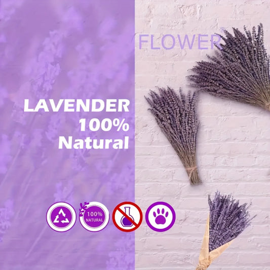 1 Bundle Dried Natural Lavender Flowers