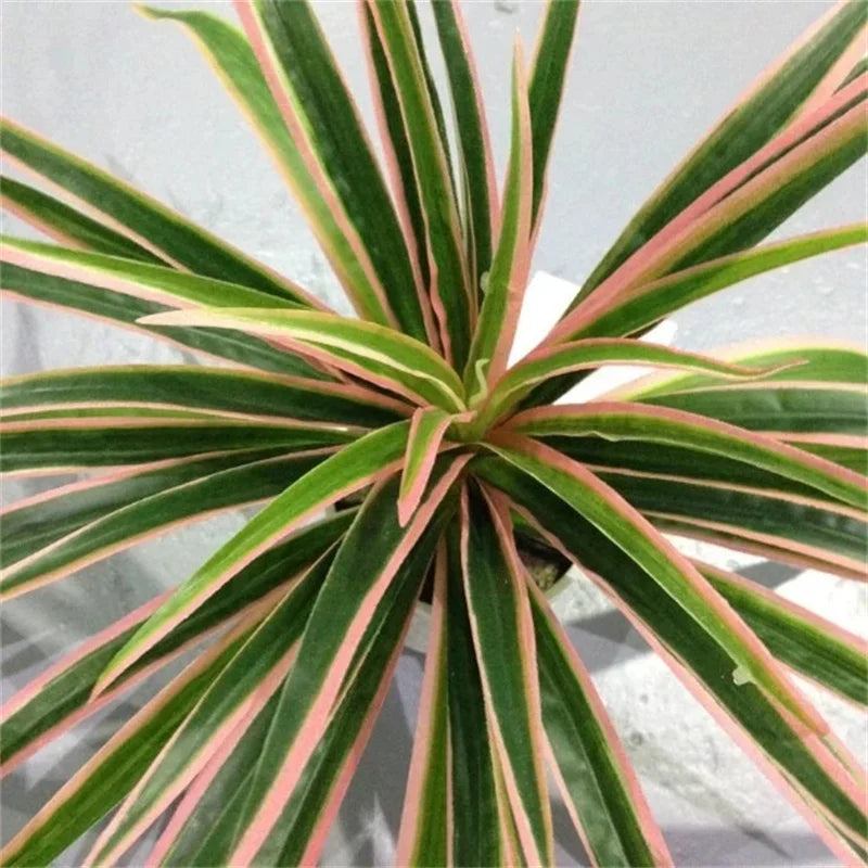 Artificial Chlorophytum Branch Home Decorative Fake Plants