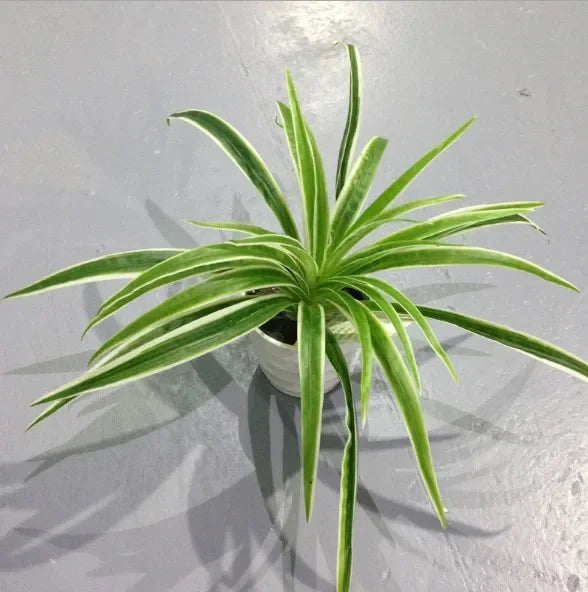 Artificial Chlorophytum Branch Home Decorative Fake Plants