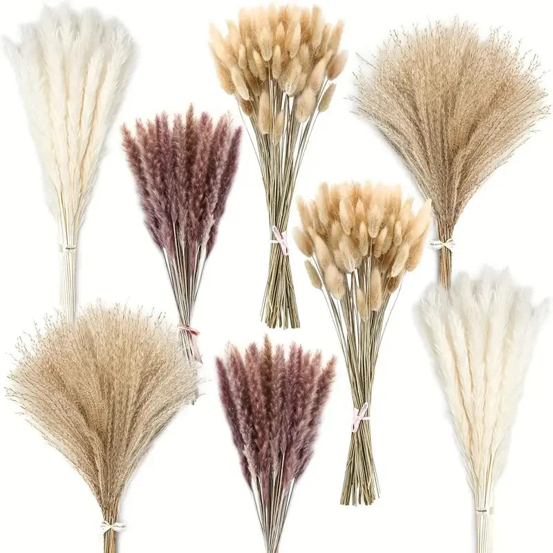 210Pcs Pampas Bunny Tail Grass Natural Dried Flowers